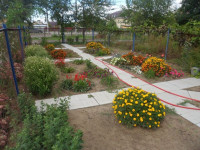 sam_4408-13-800-600-80