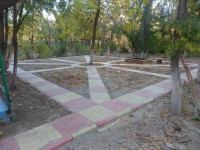 sam_2996-6-800-600-80